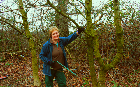 Anne with a saw in the woods