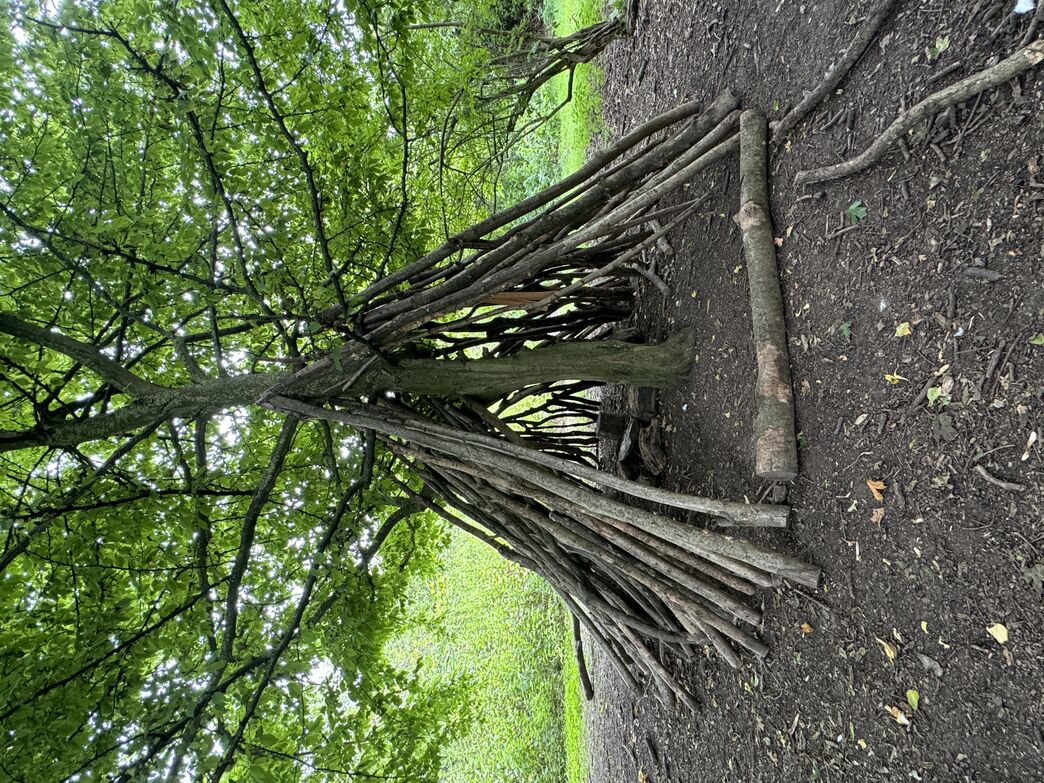 Our Favourite Free Family Outdoor Activities | The Great Fen