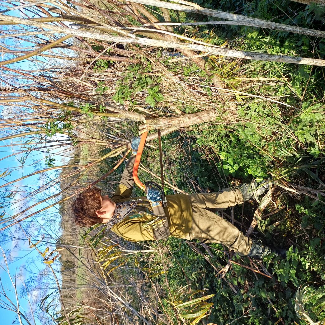 Celebrating 3 Years with Youth Rangers of the Fens! | The Great Fen