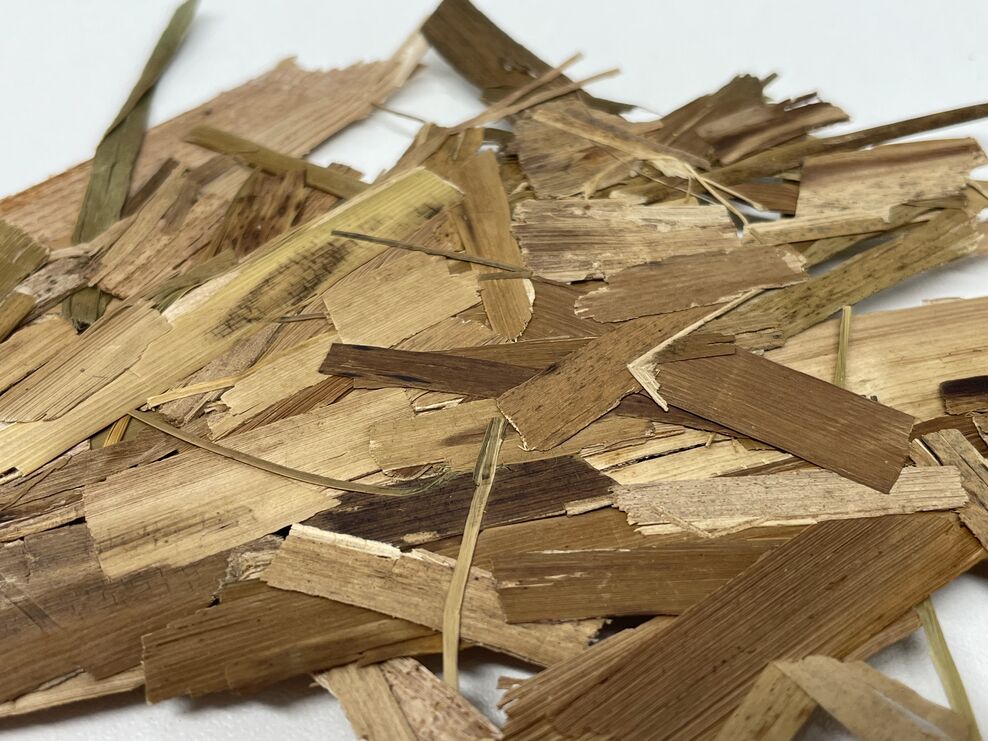 Typha Shingles Transforming Typha for Sustainable Construction | The Great Fen
