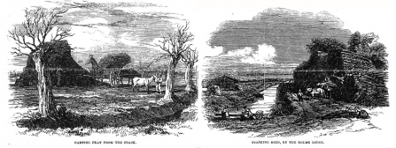 Old etchings of carting peat and stacking reed
