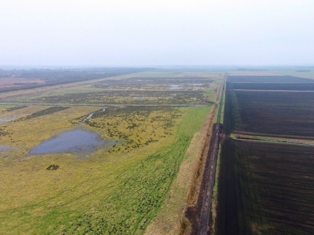 Habitat restoration at the Great Fen