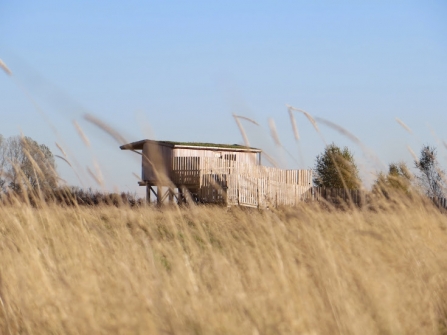 Tower hide at Trundle Mere, Rhymes Reedbed