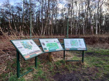 Holme Fen Information Boards