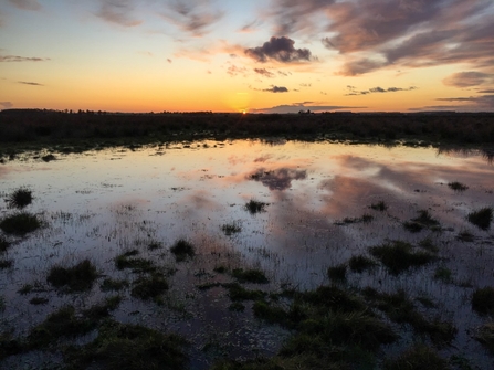 Sunset on the Great Fen