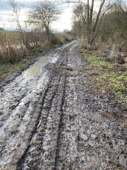 Badly damaged track at Woodwalton Fen NNR due to soft ground conditions