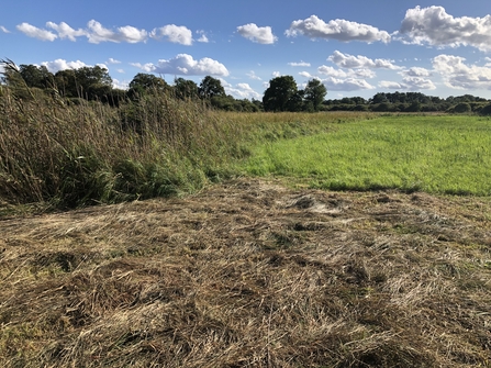 The diversity of vegetation structures that result from rotational cutting showing long and short grasses