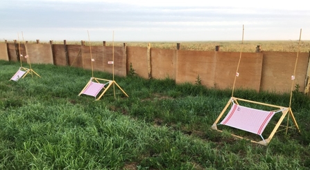 wooden frames holding tea towels and a wooden hedge of boards