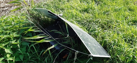 Thin solar panel on the ground