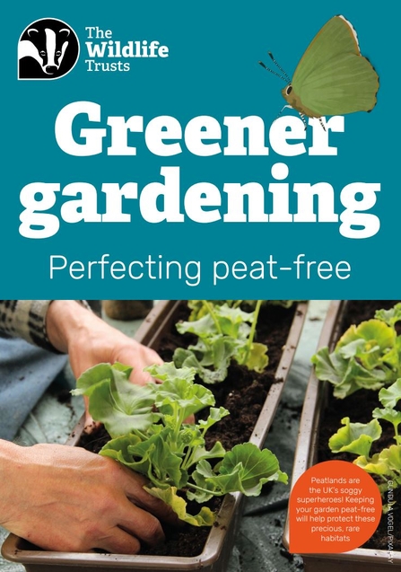 Front cover of the guide called Greener Gardening Perfecting peat-free. Image of hands planting lettuce in pots