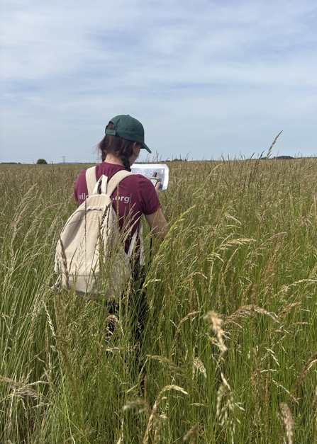 Lucy walks through a shoulder height field of grass holding a GPS tracker and map