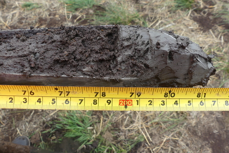 Close-up of mud in an auger alongside a tape measure showing 200 cm
