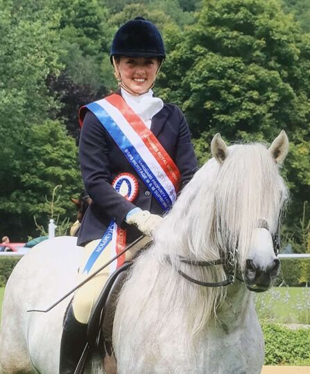 White Highland pony being ridden with rider wearing sash and ribbon