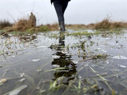 Shot of a flooded grassland with someone in wellies walking away