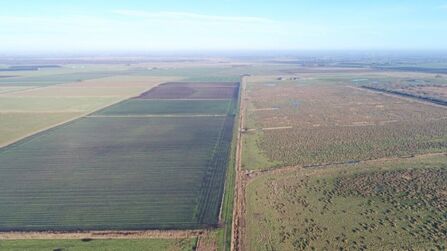 Drone image of ploughed fields next to wild wetland