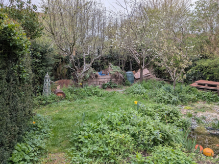 A compost pile in an untidy wildlife garden