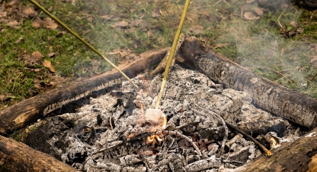 Bonfire