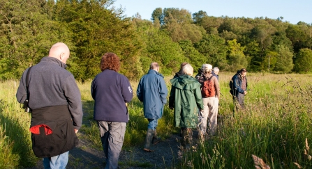 Guided walk