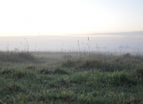 Great Fen Fields and mist credit. Jon Smith (Restoration Officer)