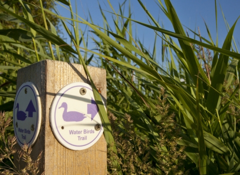 Trail Sign Woodwalton Fen NNR