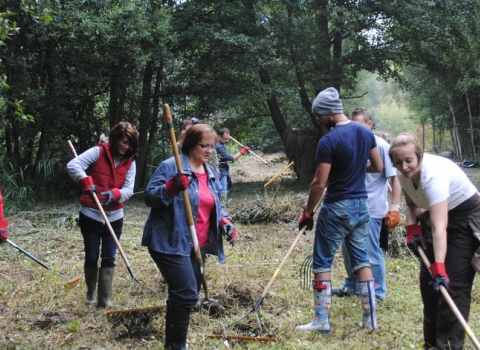 Reserve Volunteer's 