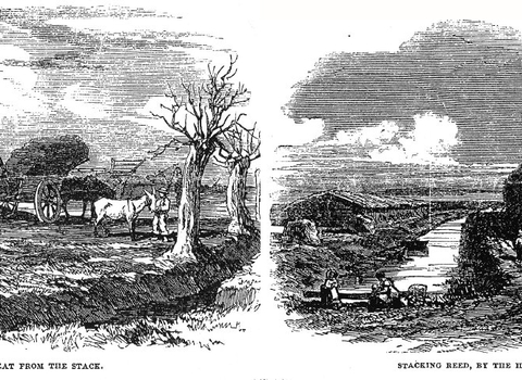 Old etchings of carting peat and stacking reed