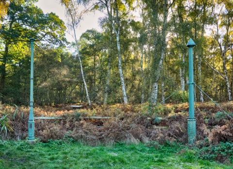 Holme Fen Posts