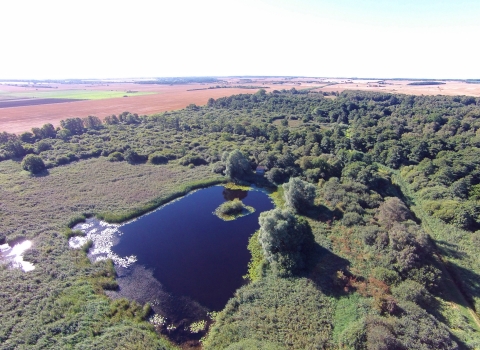 Woodwalton Fen