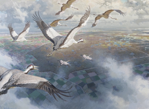 Painting of cranes over the Great Fen by Gorbatov