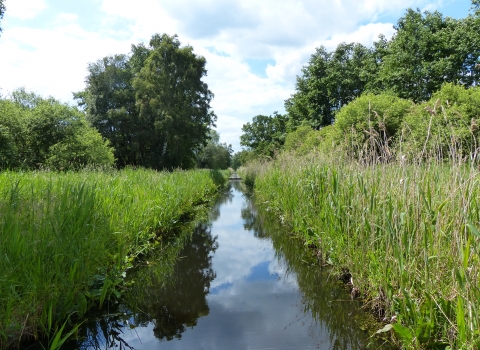 Waterway at Woodwalton Fen