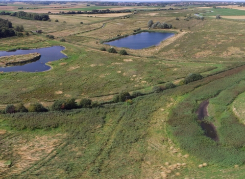 Rymes Reedbed Great Fen