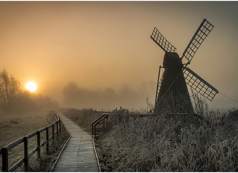 Wicken Fen with misty light and a windmill