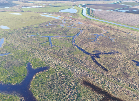Kester's Docking and Rymes Reedbed on 25 December 2020