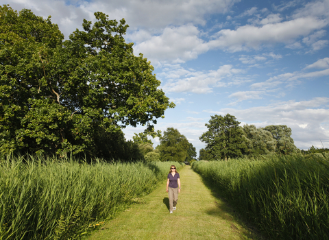 Walking at Woodwalton Fen