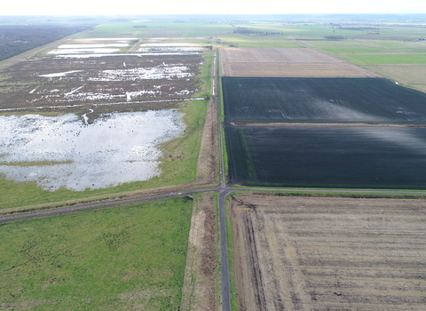 Drone image comparison of wet peatland and drained and farmed peatland