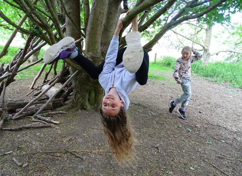 Child swinging from tree