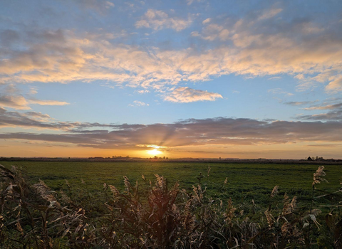 the sun sets through low clouds in a blue sky, flat green fields beneath
