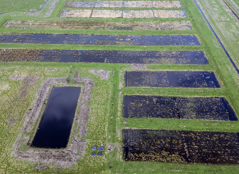 Drone image of water-filled crop beds in a green field