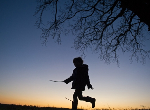 Children and wildlife