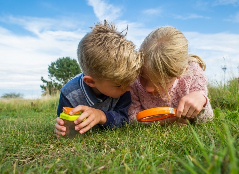 Children discovering wildlife