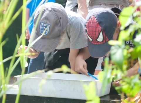 Children pond dipping